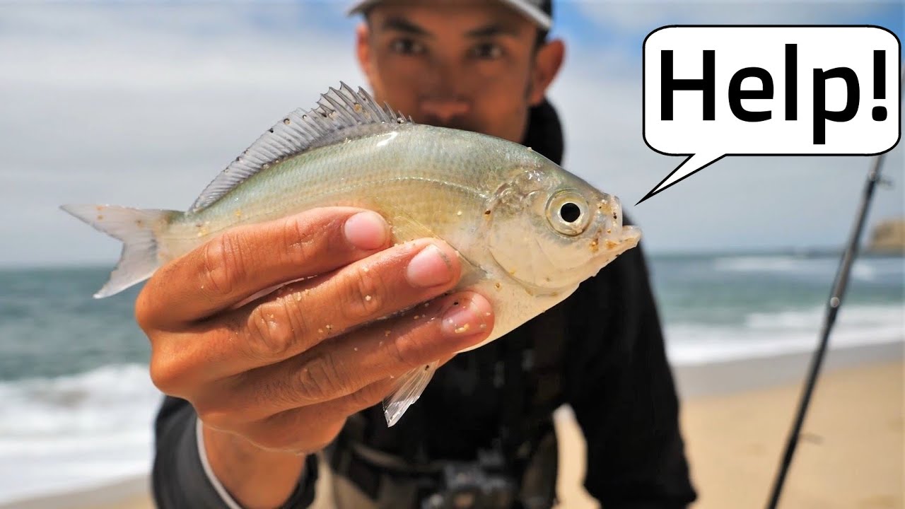 This Fish Got SO Lucky! Caught it's Family