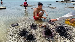 Giant Sea Urchin Uni Sashimi - Cleaning and Eating  Massive Sea Urchin