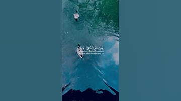 تلاوة خاشعة بصوت القارئ ادهم النابلسي من سورة البقرة