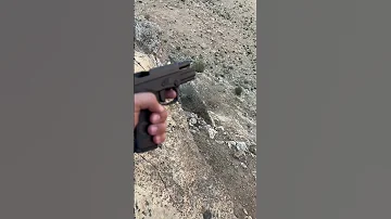 صوت عيار ناري مع صدى A Gunshot Sound With Echo 