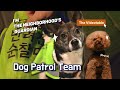 Dog Patrol Team 🎥Videotable🎥