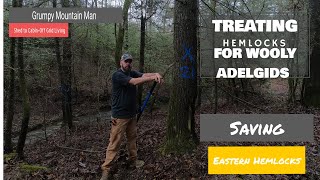 Treating Woolly Alegids for Eastern Hemlock Trees  at the Shed to Cabin -Off Grid