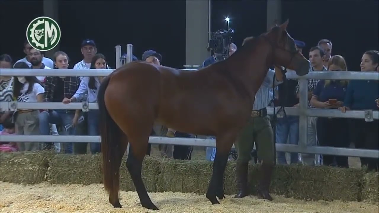 2022.04.08 Cuarto de Milla