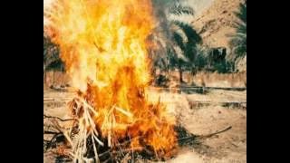 فواصل الإسلام دين السلام - محاربة الإرهاب ح 4