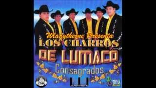 Vida De Mi Vida Los Charros De Lumaco Consagrados chords