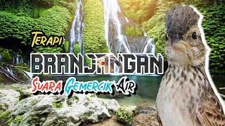 AMPUH!!! TERAPI BRANJANGAN, GEMERCIK AIR DAN SUARA ANGIN