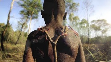 WWF PARALLAX SEQUENCE