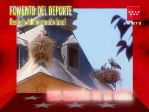 Premio 7 Estrellas del Deporte al Ayto. San Martín de la Vega cristina cifuentes marido