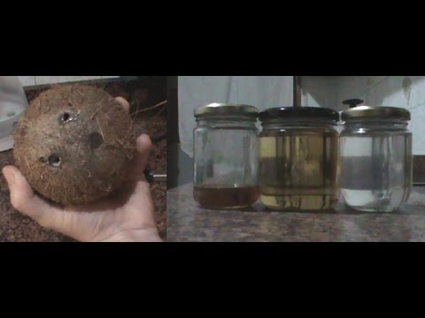 Cómo hacer aceite de coco casero (Extracción en caliente), para comer, hacer jabón, pelo, piel etc.