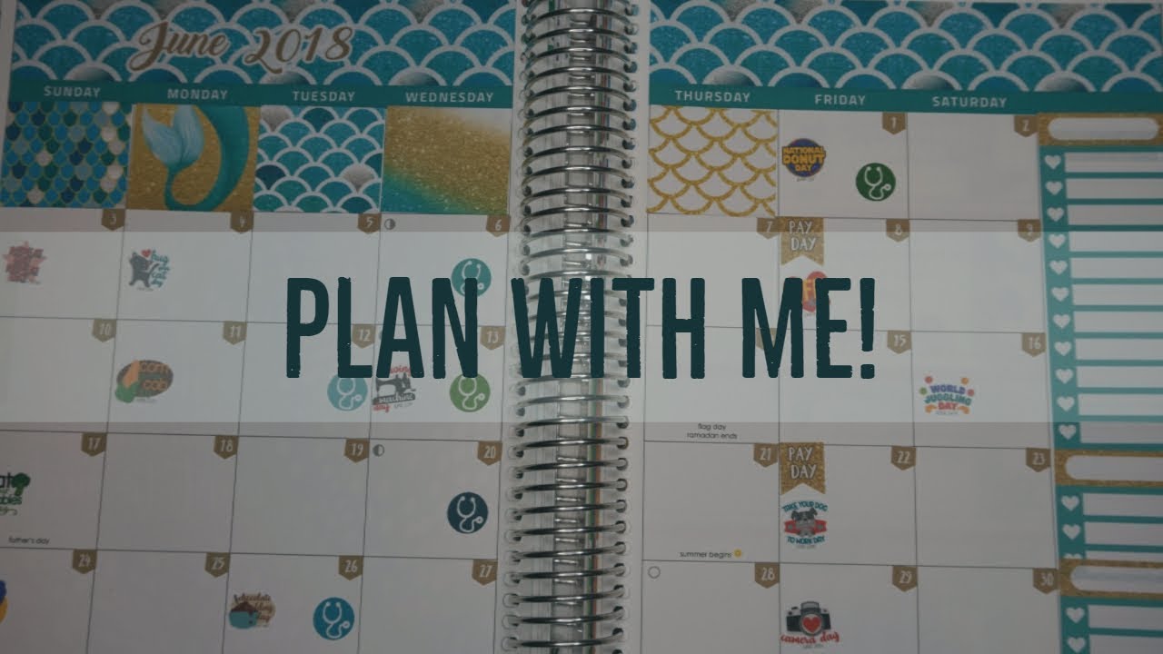 Plan With Me//monthly overview//ft Little Fox Planner