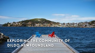 Travel to Canada  Exploring the town of Dildo Newfoundland