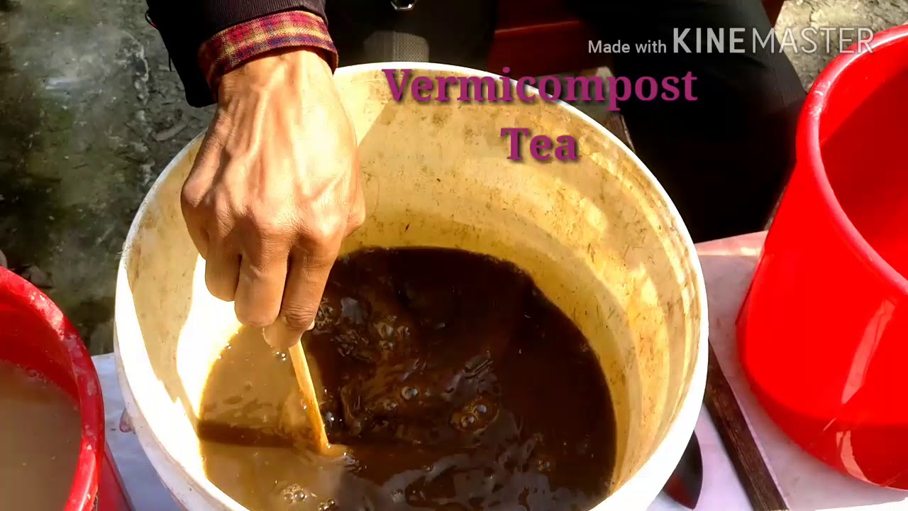 How to make All Purpose Liquid fertilizer for every kind of Plant.