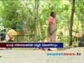 Kerala Election 2014:Rubber become Pathanamthitta