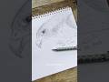 Peregrine falcon #tutorial #drawing #shorts #bird #art #epic