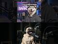 Discribe Indians in One Scentence #funnydog #pug #doggielife #doghumor #doglove #funnypuppy #pugpals