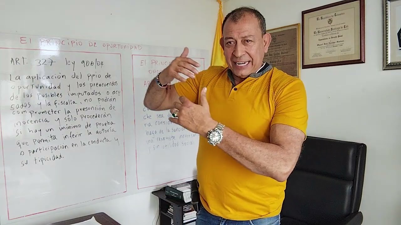 EL PRINCIPIO DE OPORTUNIDAD, UNA SALIDA JURIDICA VIABLE, PARA ALGUNOS DE LOS LLAMADOS PRIMERA LINEA.