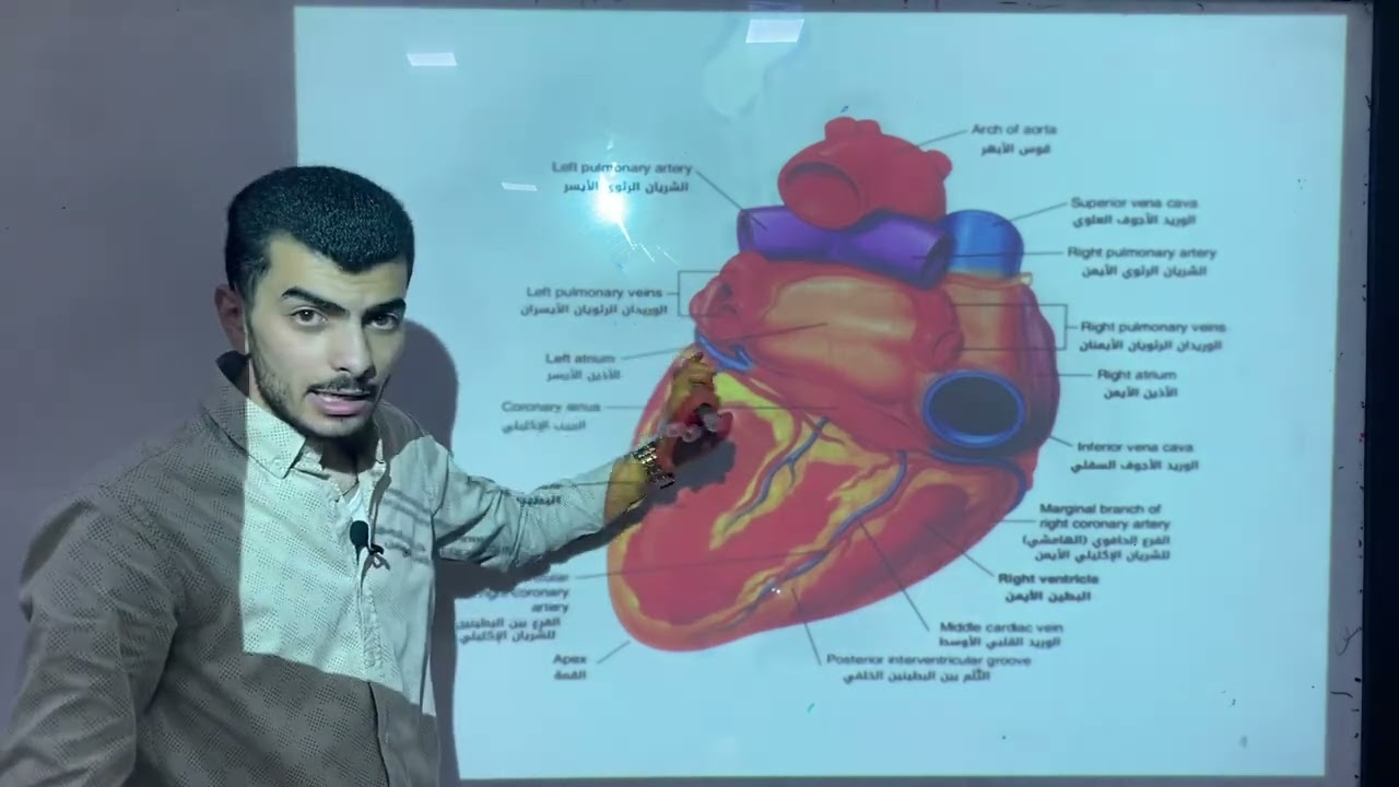 الفصل الخامس | وجوه القلب |