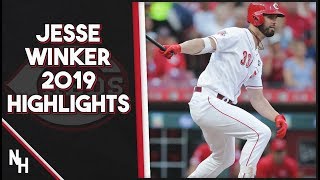 Jesse Winker 2019 Highlights