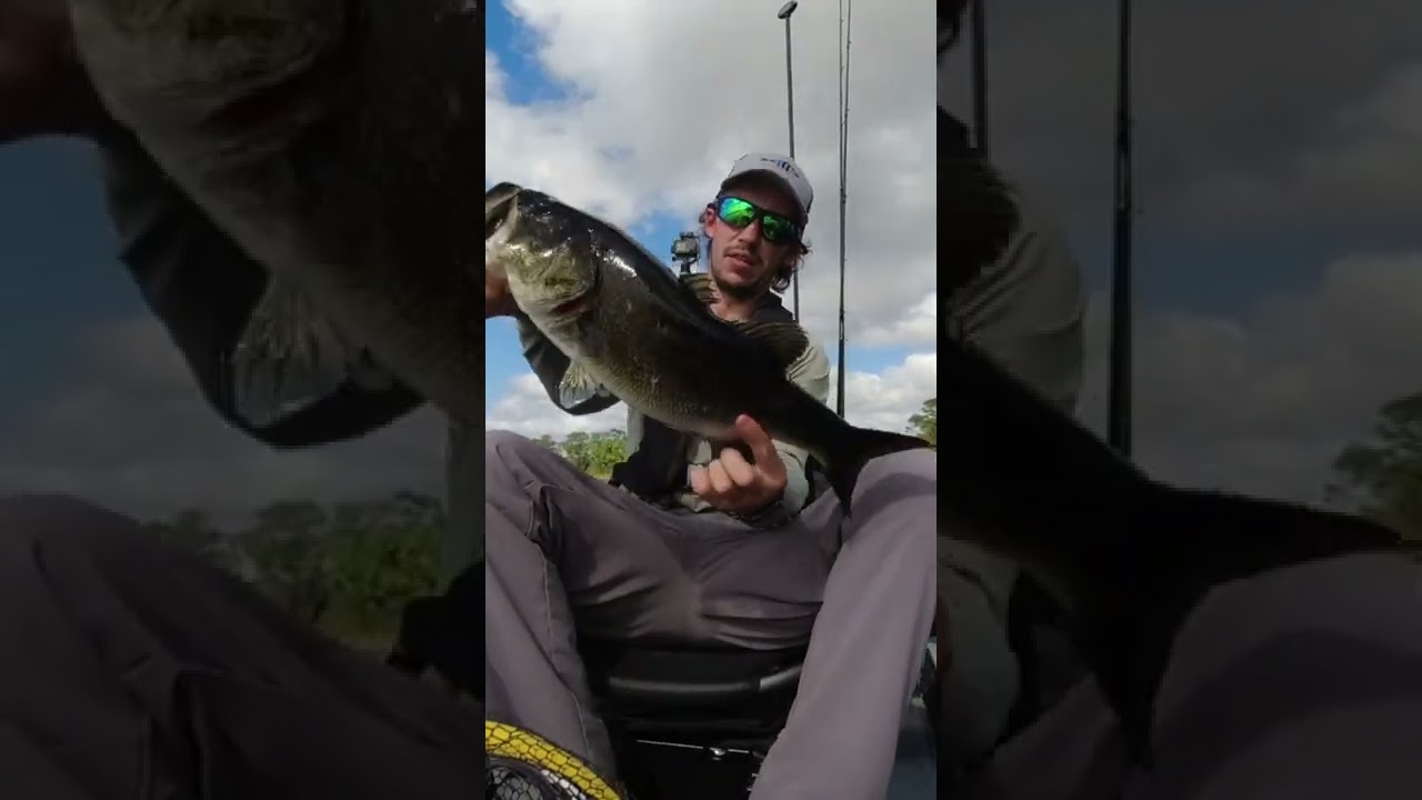 Devils horse catches some big bass! Kayak bass fishing Florida