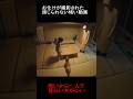 お化けが撮影された信じられない怖い動画 #隠れ鬼 #horror #おばけ #怪現象 #ghost #paranormal #ミステリーハンター #ホラー #恐怖 #alien