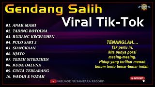 GENDANG SALIH VIRAL TIKTOK