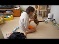 うちの嫁が猫をやめそうになってしまう