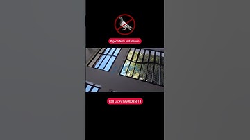 Live #Pigeon Netting Installation | YPL Safety Nets #Live #23.02.2025