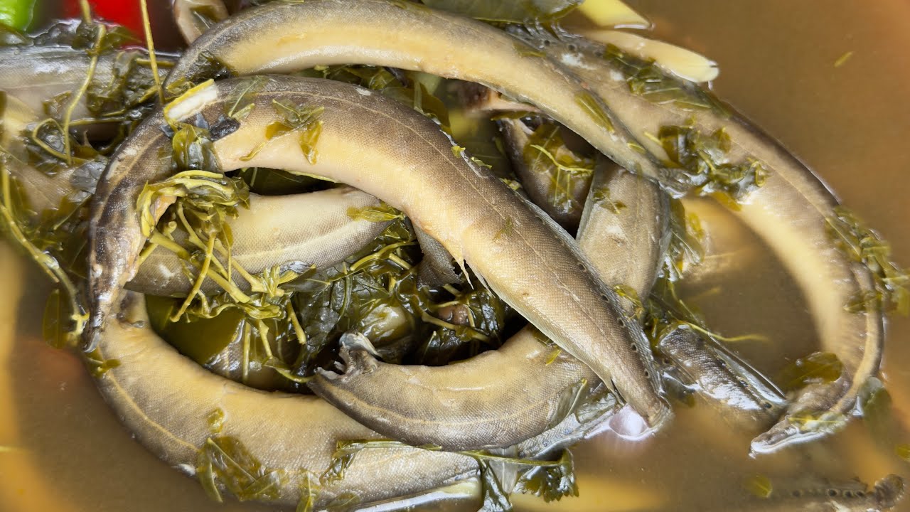 #￼ อาหารอีสาน#ต้มปลาหลดใส่ใบมะขาม ซดน้ำร้อนร้อน #อร่อยแซ่บนัว