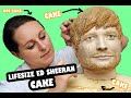 Lifesize Ed Sheeran, Celine Dion and Jamiroquai Cake tutorial