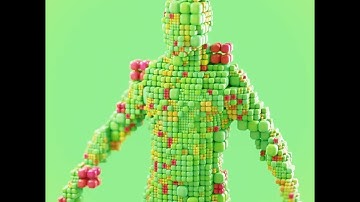 Adaptive Voxel Grid (Human)