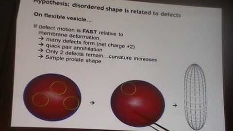Topological Defects in Soft Matter: Simulation Models and Applications III - Robin Selinger