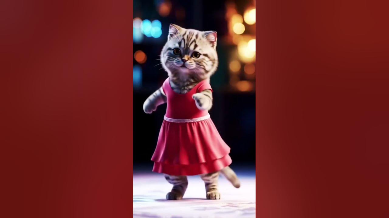 cat #song #https #music