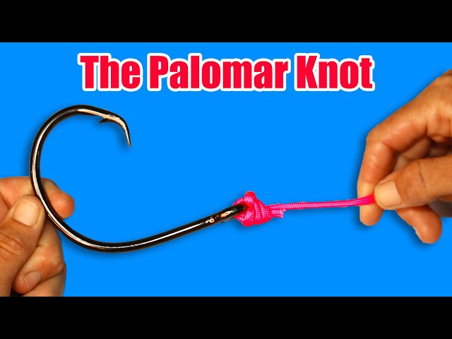 The Best Fishing Knots Of All Time [Ranked Strongest To Weakest]