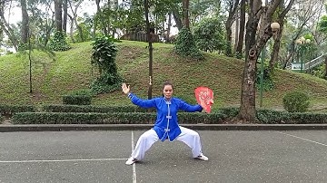 Thái cực Phiến 24 Thức