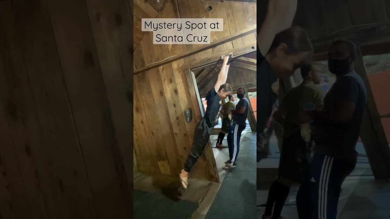 Mystery Spot In Santa Cruz You Must Visit 