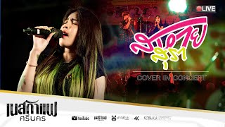 สหายสุรา -  เนสกาแฟ ศรีนคร 【COVER VERSION】| งานเทศกาลตรุษจีน อ.แก่งคอยจ.สระบุรี