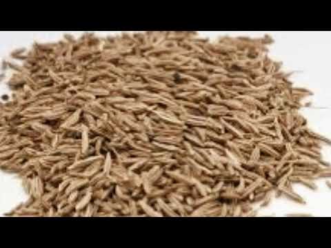 Some Outstanding Substitutes for Caraway Seed That You Can