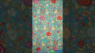 Full Jamawar Pashmina Shawl | Everygreen collection 2022