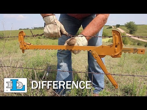 Vídeo: Posadors D'or De Solidago. Reproducció