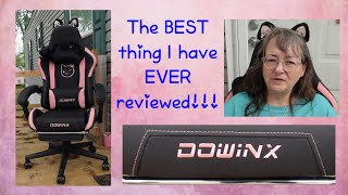 Dowinx Gaming Chair ~ Cat Lady Style ~ Unboxing & Review by Subscription Boxes & More with Michelle 33 views 2 days ago 10 minutes, 51 seconds