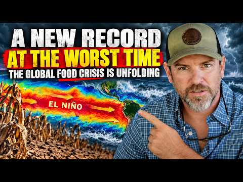 They Keep Saying “Not a Food Crisis.” Watch what happens next.