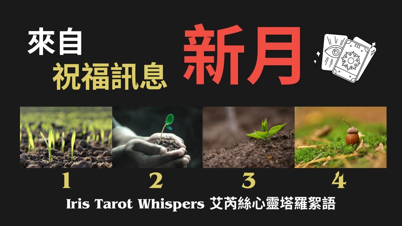 🔮塔羅占卜🔮來自新月的祝福 #愛情 #工作事業 #人生 #塔羅 #占卜 #塔羅占卜 #tarot