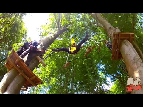 Video-thumbnail van Woody Park