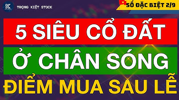 🔴5 SIÊU CỔ PHIẾU BẤT ĐỘNG SẢN ĐANG Ở CHÂN SÓNG ĐIỂM MUA SAU DỊP LỄ - TIÊU CHÍ CHỌN LỰA CỔ PHIẾU