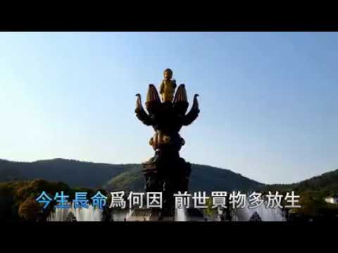 三世因果歌 pic