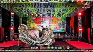 MUNCULNYA KEMBALI SINGO BARONG KLASIK TUNGGORONO | FESTIVAL SENI BUDAYA Ds. TIRTOMULYO PLANTUNGAN