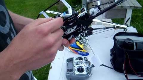 Align T-rex 250 SE Crash damage report