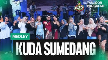 HAJAT OVERTIME NAGROG - CIATER SUBANG |\ KUDA SUMEDANG MEDLEY FILY Dwerg