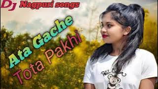 Ata Gache Tota Pakhi __ New Nagpuri Video Song Dj 2023 __ NagPuri dj SonG __ dj tapash babu 2023