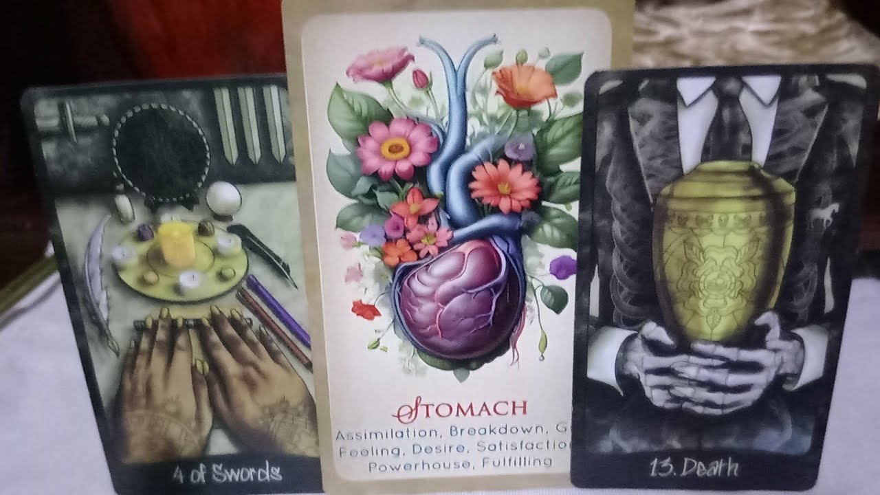 LA KARMICA QUIERE PODRIRTE EL ESTÓMAGO CON HECHICERIA PARA Q MUERAS 